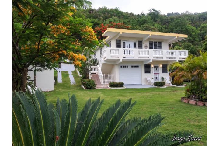 Guardarraya, ClasificadosOnline Puerto Rico