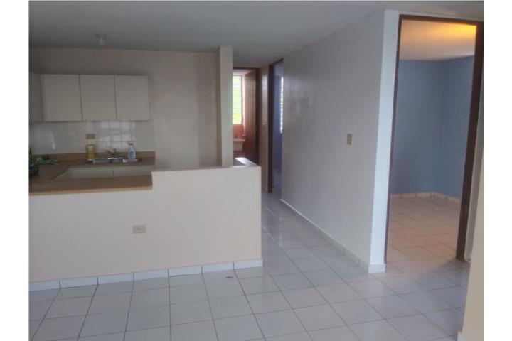 Montemar Apartments, ClasificadosOnline Puerto Rico
