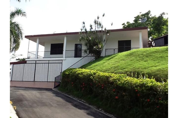 Achiote, ClasificadosOnline Puerto Rico