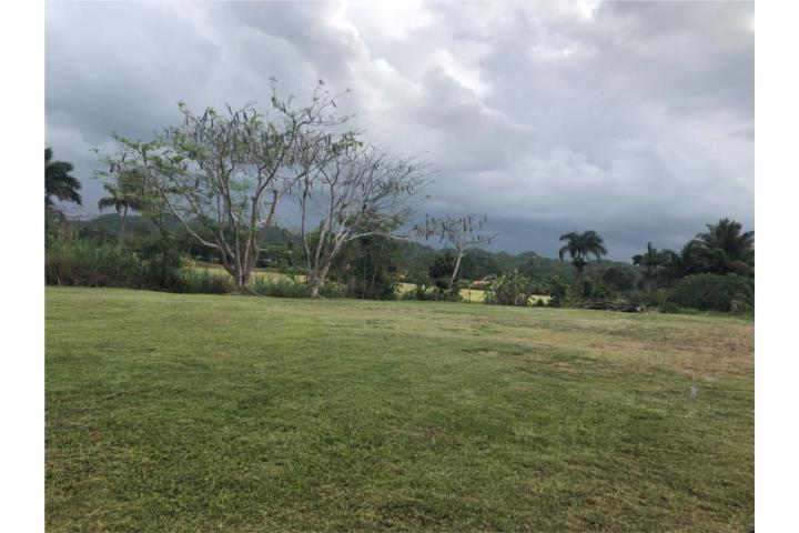 Hacienda Mi Querido Viejo Puerto Rico