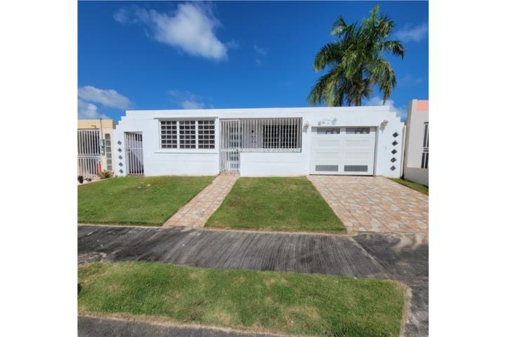 Zarzal Puerto Rico