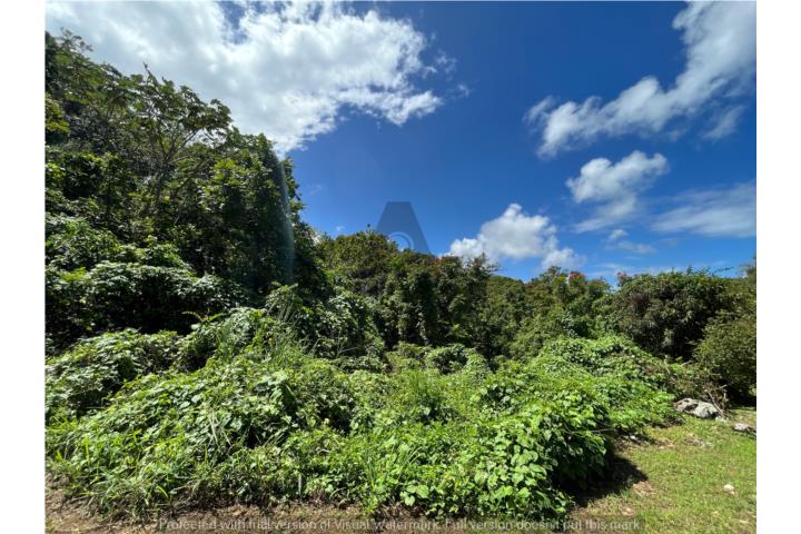 Pueblo Nuevo Puerto Rico