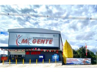 Galeria