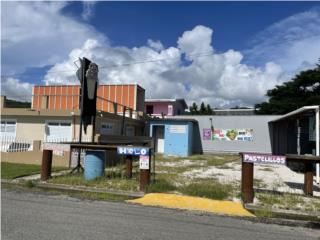 Puerto Rico - Bienes Raices VentaSe vende cada Villa Pesquera Bo Bajos  Puerto Rico
