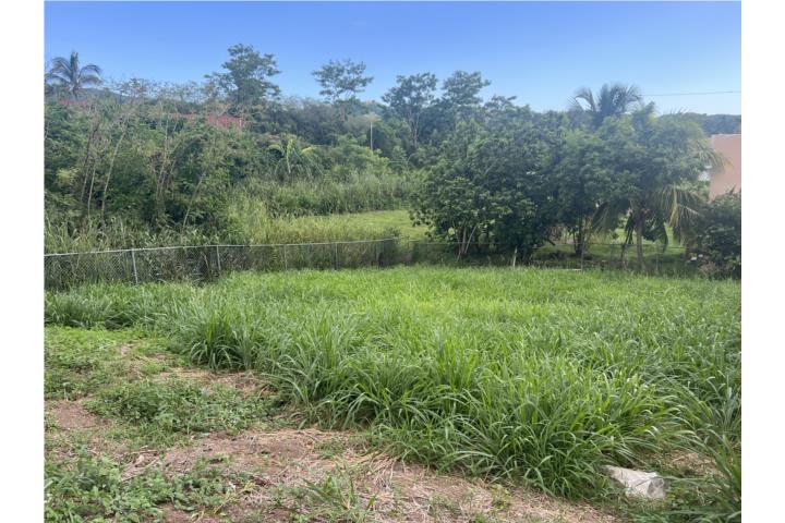 Reparto Aimee Puerto Rico Venta Bienes Raíces Cabo Rojo Puerto Rico Real Estate For Sale 6005