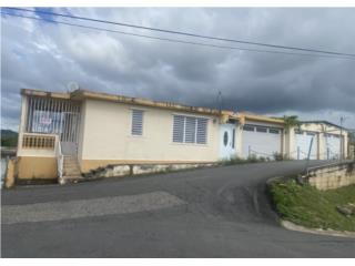 Puerto Rico - Bienes Raices VentaBo. Franquez Sector Rosado  Puerto Rico