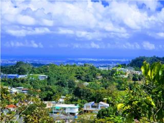 Puerto Rico - Bienes Raices VentaEspectacular vista en Barrio Nuevo, Bayamon  Puerto Rico