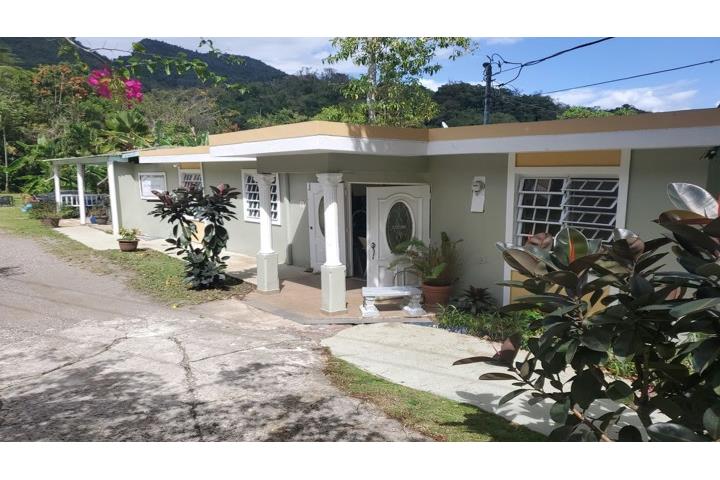 Collores Puerto Rico, Venta Bienes Raíces Juana Díaz Puerto Rico, Real
