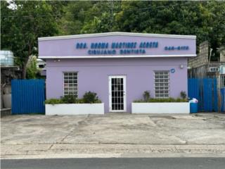 Puerto Rico - Bienes Raices VentaPropiedad Comercial / Oficina Dental Puerto Rico