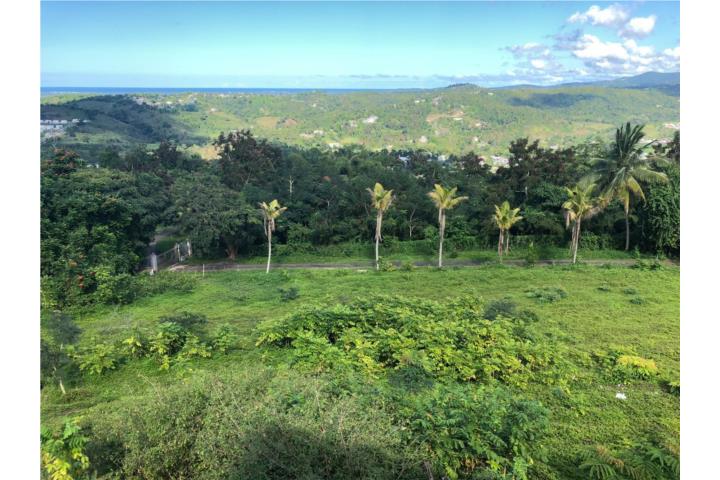 Peurto Rico Compo Rico Campo Rico Puerto Rico, Venta Bienes Raíces Canóvanas Puerto Rico, Real ...
