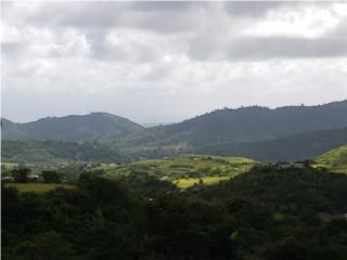 Puerto Rico - Bienes Raices Venta Venta terreno Bo. Los Llanos sector Caribe   Puerto Rico