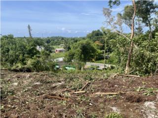 Puerto Rico - Bienes Raices VentaBo Camaseyes terreno de 1.7 cuerdas vista pan Puerto Rico