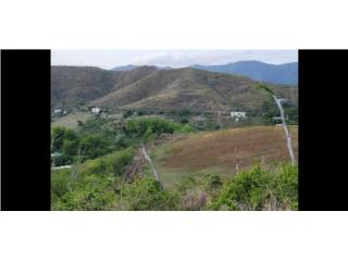 Puerto Rico - Bienes Raices VentaSalinas rancho guayama espectecular Puerto Rico