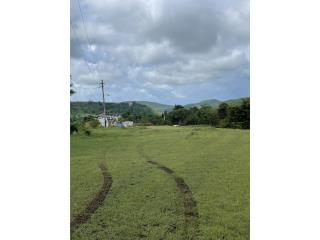 Puerto Rico - Bienes Raices VentaHermosa cuerda Bo Los Llanos  Puerto Rico