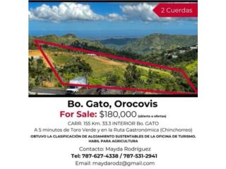 Puerto Rico - Bienes Raices VentaOrocovis Sector El Gato Puerto Rico