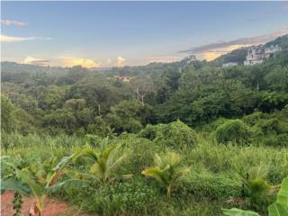 Rio Canas Abajo Puerto Rico