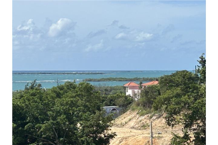 El Peñón Puerto Rico, Bienes Raices El Peñón Real Estate Peñuelas ...