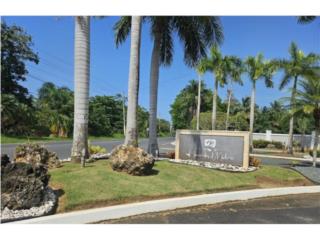 Puerto Rico - Bienes Raices VentaGated Community 1/2 Acre Lot Dorado Beach Puerto Rico