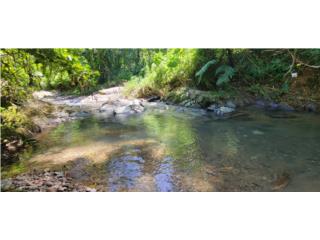 Puerto Rico - Bienes Raices VentaPOOL+RIVER ACCES+CAMPING AREAS Puerto Rico