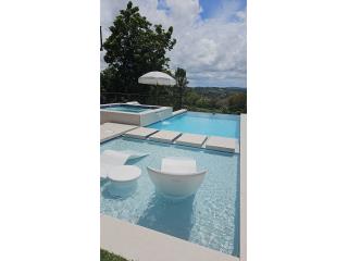 Puerto Rico - Bienes Raices VentaHermosa finca de 20cdas con Villa 3h-3b Puerto Rico