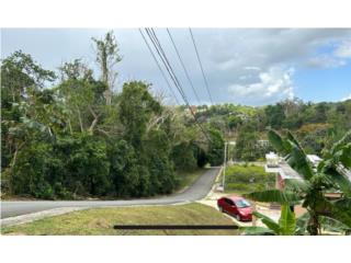 Puerto Rico - Bienes Raices VentaTerreno en bo. Guaraguao, guaynabo Puerto Rico