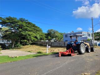 Puerto Rico - Bienes Raices VentaSERV TALADORA DE TERRENOS -AGUADILLA//ISABELA Puerto Rico