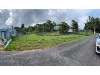 Puerto Rico - Bienes Raices VentaBo. Sonadora Comercial Frente PR-173 Puerto Rico