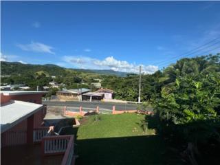 Ceiba Norte Puerto Rico