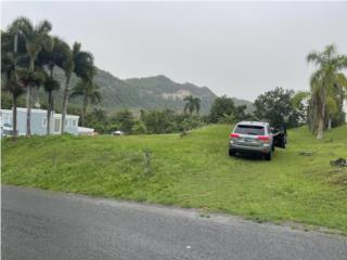 Puerto Rico - Bienes Raices VentaTerreno en Barrio Cibuco, vista panormica Puerto Rico