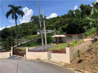 Puerto Rico - Bienes Raices VentaCasa remodelada en Canvanas, Bo. Cubuy, en u Puerto Rico