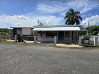 Puerto Rico - Bienes Raices VentaBarrio Callejones, Casa 3/1 y terreno180k Puerto Rico