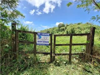 Puerto Rico - Bienes Raices VentaFINCA EN YAUCO BO. FRAILES 25.22 CUERDAS ???? Puerto Rico