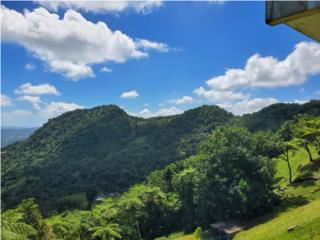 Clasificados Arecibo Puerto Rico