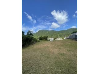 Puerto Rico - Bienes Raices VentaUrb. Colinas Guamani D4 Bo. Guamani Guayama Puerto Rico