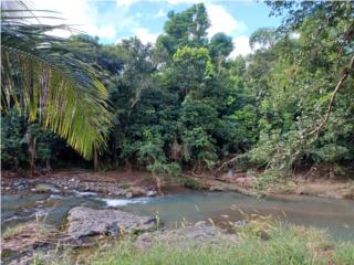 Puerto Rico - Bienes Raices Ventaterreno con ro y contadores de agua y luz  Puerto Rico