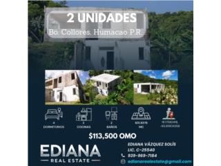 Puerto Rico - Bienes Raices VentaPropiedad 2 unidades, Bo. Collores, Humacao Puerto Rico