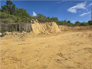 Praderas De Isabela Puerto Rico