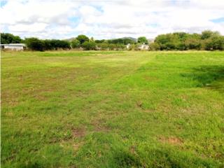 Puerto Rico - Bienes Raices VentaUna cuerda llana. Sector Godreau, Salinas. Puerto Rico