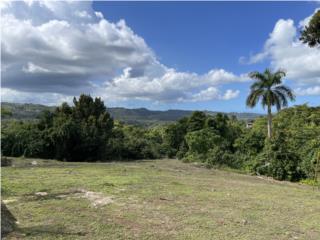 Terreno con Vista a las Montañas 