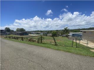 Solar con 780 metros cuadrados en Camuy 