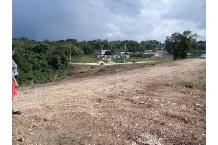 Cocos Puerto Rico, Venta Bienes Raíces Quebradillas Puerto Rico, Real ...