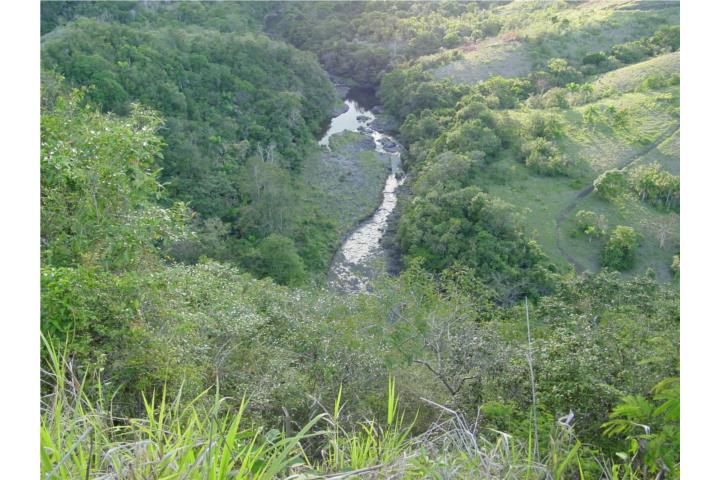 La Plata Puerto Rico, Venta Bienes Raíces Aibonito Puerto Rico, Real ...