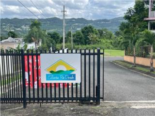 Puerto Rico - Bienes Raices VentaTerreno en manati  Puerto Rico