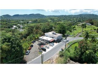 Puerto Rico - Bienes Raices Venta14 Rental Units, Commercial Space, 4|3 House Puerto Rico