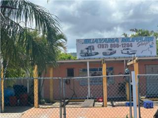 Puerto Rico - Bienes Raices VentaMuffler shop en venta - Sector Melania Carr 3 Puerto Rico