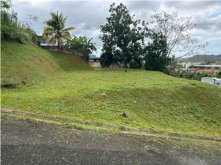 Puerto Rico - Bienes Raices VentaTerreno 900 mt toa alta a pasos de palacios Puerto Rico