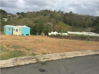 Puerto Rico - Bienes Raices VentaUrb. Colinas de Lago Bo. Ortiz Toa Alta Puerto Rico