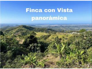 Puerto Rico - Bienes Raices VentaFinca Agrcola/Vista Panormica  Puerto Rico