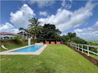 Puerto Rico - Bienes Raices VentaCasa de Campo con Piscina en Barrio Cejas Puerto Rico