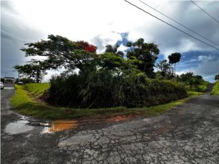 Clasificados San Sebastin Puerto Rico